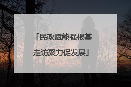 民政赋能强根基 走访聚力促发展